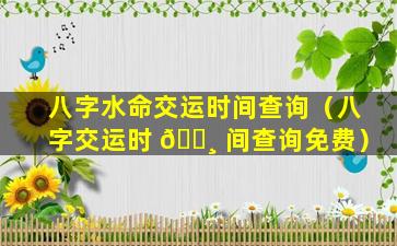 八字水命交运时间查询（八字交运时 🕸 间查询免费）